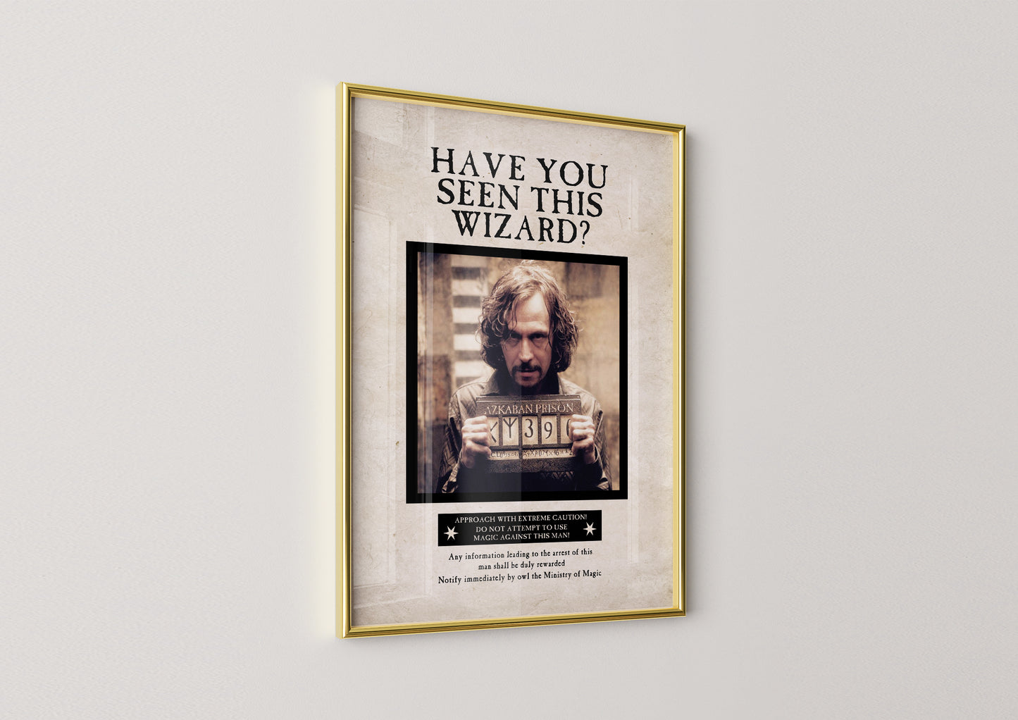 Have You Seen This Wizard Poster