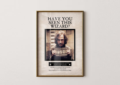 Have You Seen This Wizard Poster