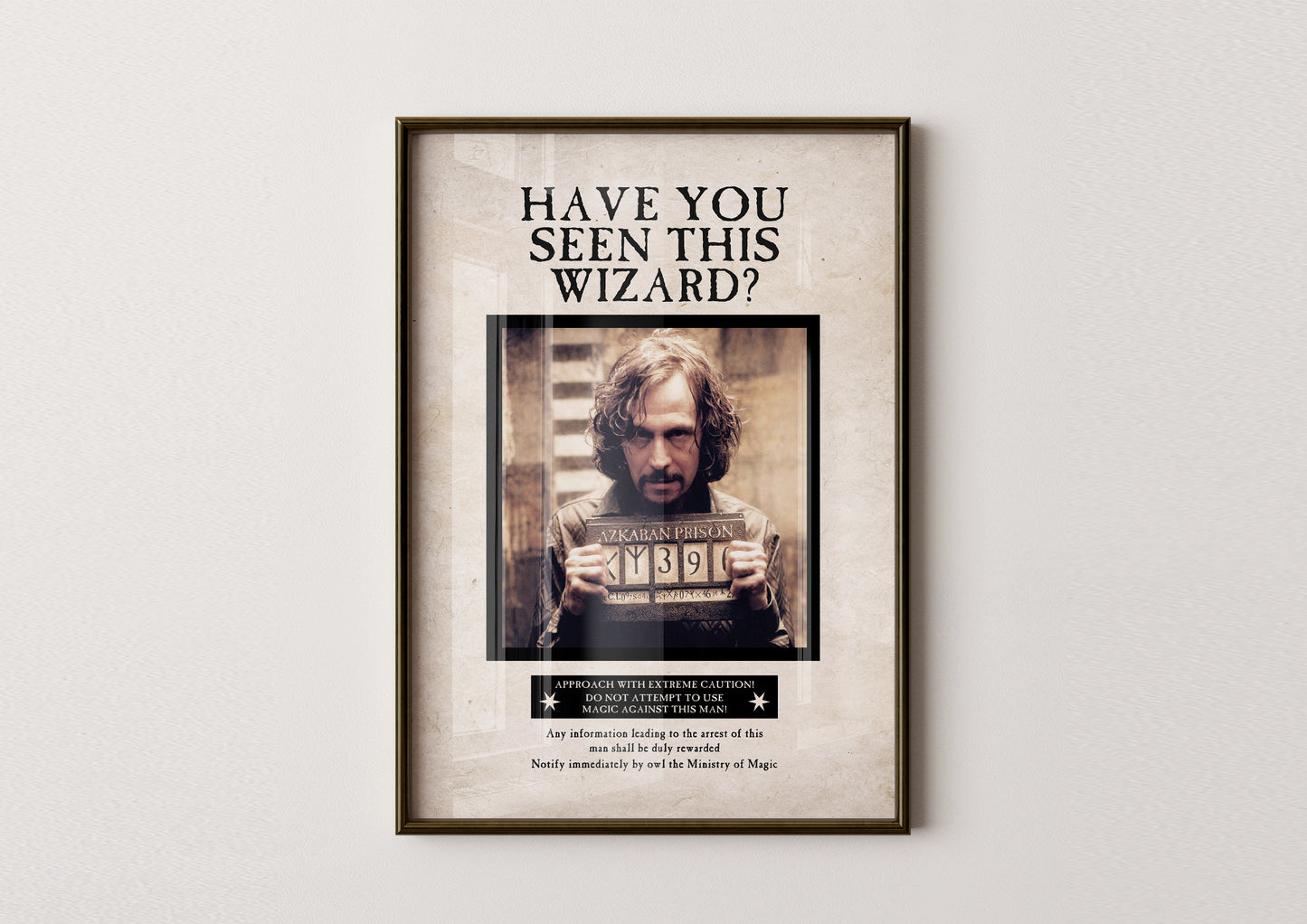 Have You Seen This Wizard Poster