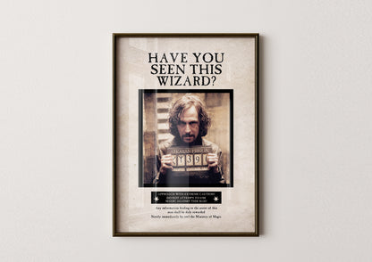 Have You Seen This Wizard Poster