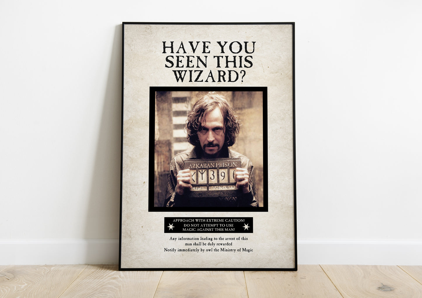 Have You Seen This Wizard Poster